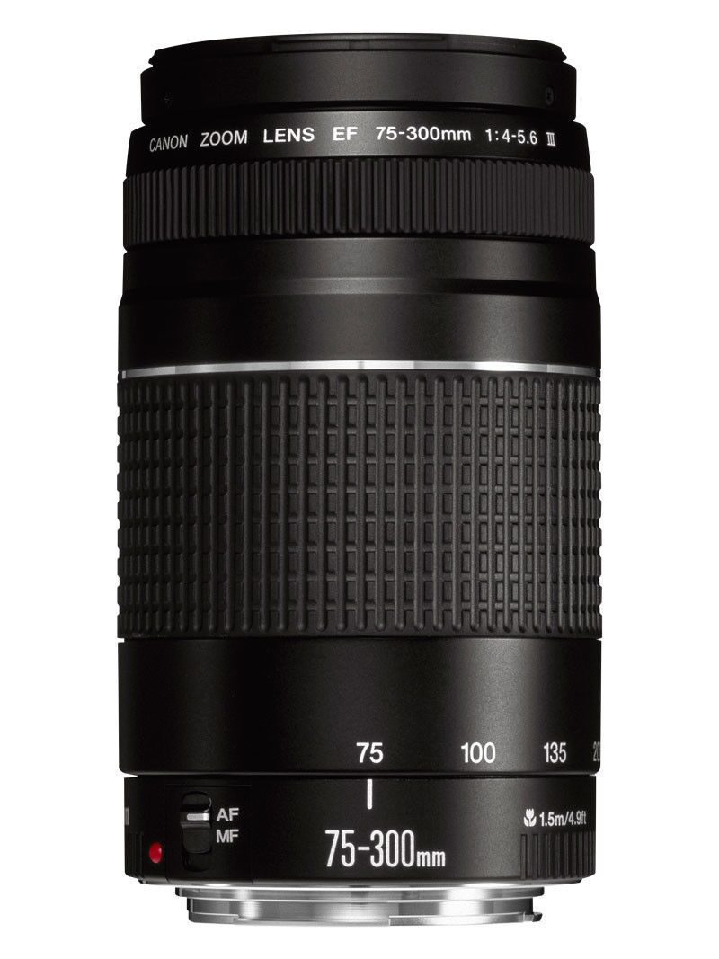 

Canon EF 75-300mm f 4 0-5 6 III Lens