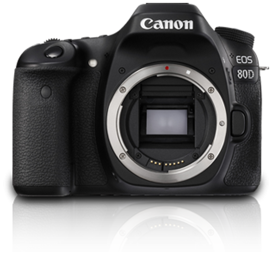 Canon EOS 80D Only Body 24.2 MP DSLR Camera Black