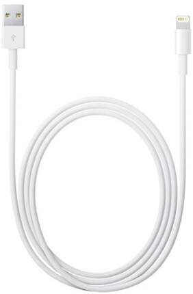 Apple MD818ZM/A Lightning to USB (White)