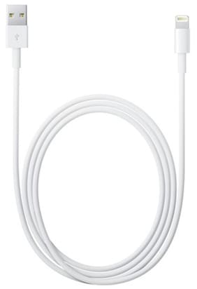 Apple MD819ZM/A Data Cable For iPhones White)