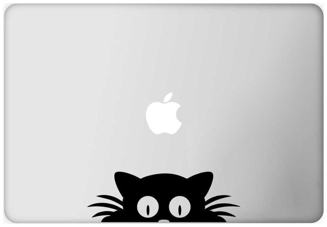 

ARWY Laptop Decal Cat on the Wall Height -3 3cmWidth -6 56cm)( Pack of 1 ) Sticker
