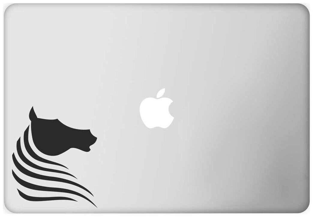 

ARWY Laptop Decal Zebra Height -3 76cmWidth -4 48cm)( Pack of 1 ) Sticker