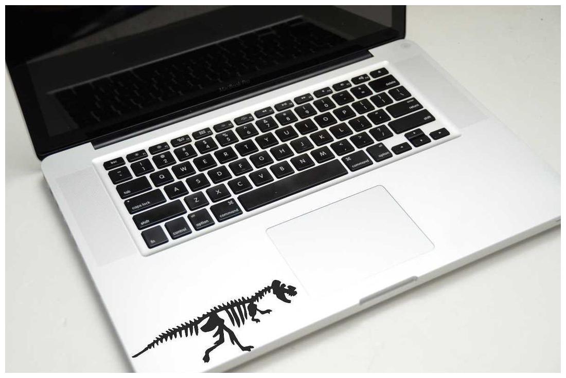 

ARWY Laptop Decal Dinosaurs Skeleton Height -4 36cmWidth -1 4cm)( Pack of 1 ) Sticker