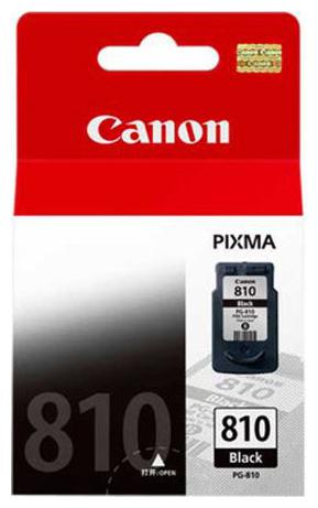 

Canon PG-810 Ink Cartridge (Black)
