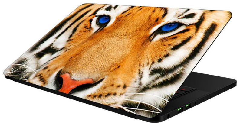 

FineArts Combo of Animals - LS5303 Laptop Skin and Mouse Pad