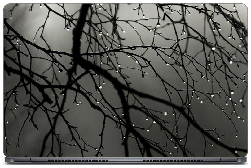 

Gallery 83 - Autumn Cool Rain Drops Laptop Decal laptop skin sticker 15 6 inch (15 x 10) Inch g83 skin 0699new