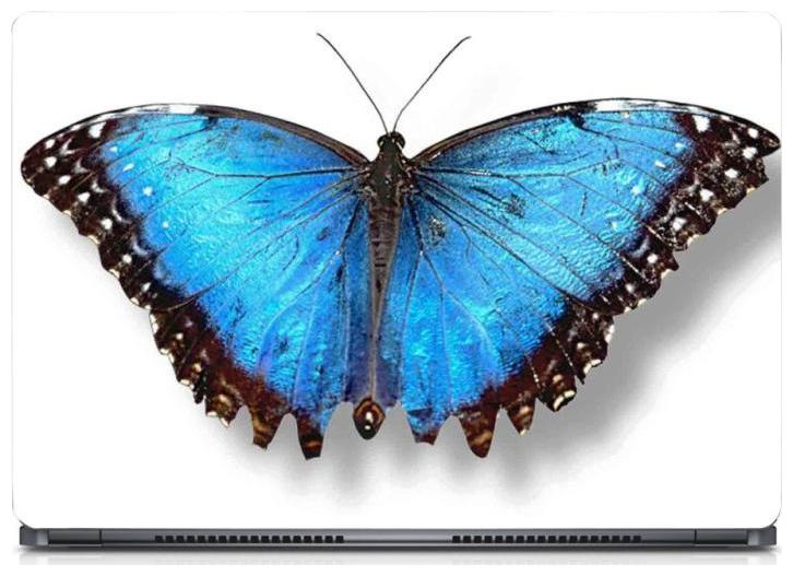 

Gallery 83 - Blue Morpho Butterfly Wings Laptop Decal laptop skin sticker 15 6 inch (15 x 10) Inch g83 skin 0543new