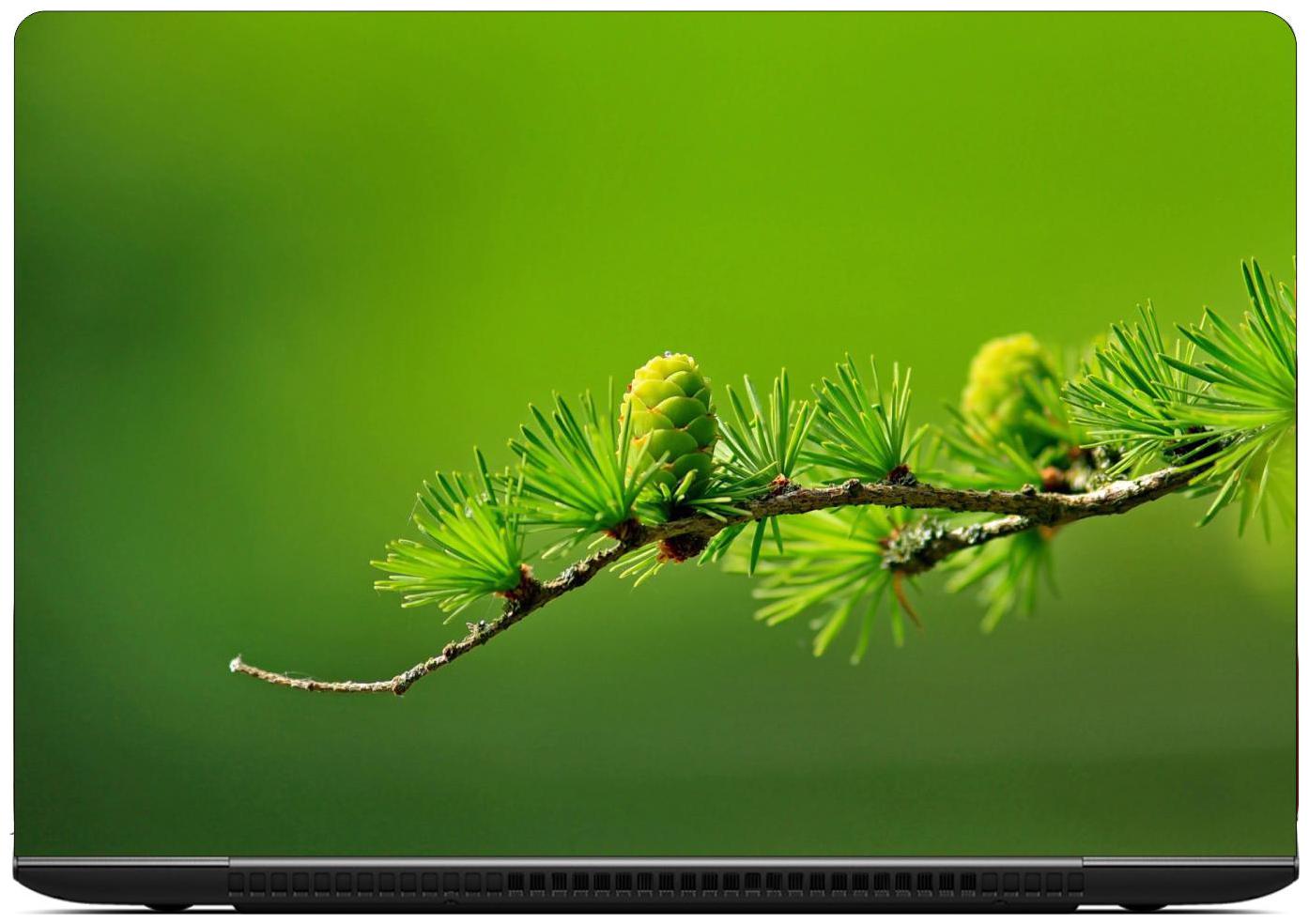 

Gallery 83 - buddha Laptop Decal laptop skin sticker 15 6 inch (15 x 10) Inch ks skin 2066new