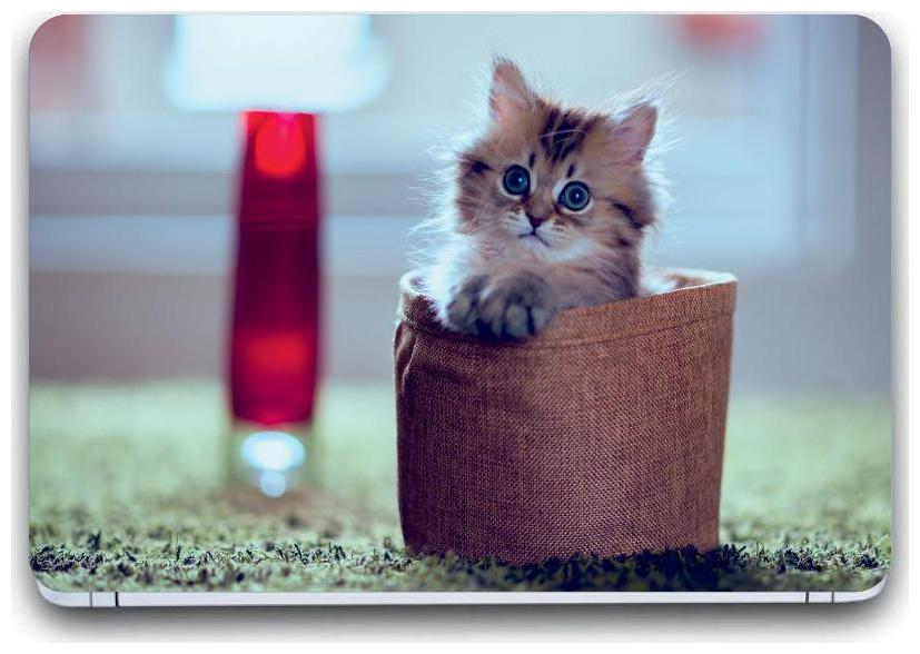 

Gallery 83 - cute cat Laptop Decal laptop skin sticker 15 6 inch (15 x 10) Inch G83 skin 01 3287
