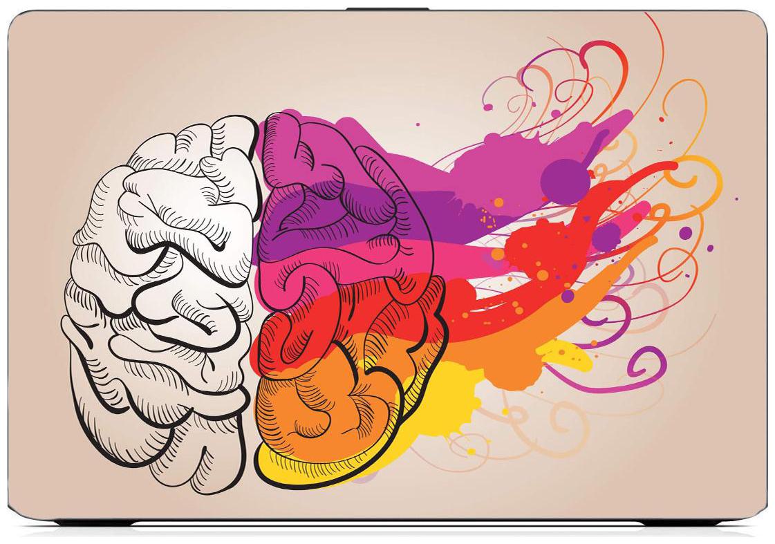 

Gallery 83 - creative colorfull brain Laptop Decal laptop skin sticker 15 6 inch (15 x 10) Inch ks skin 1443new