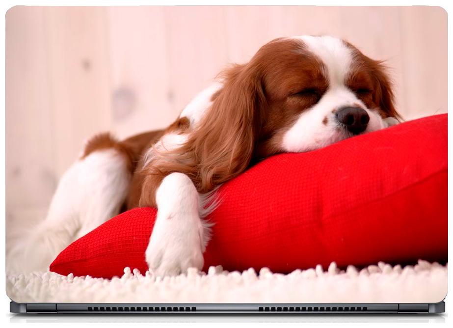

Gallery 83 - Dog Sleep Red Pillow Laptop Decal laptop skin sticker 15 6 inch (15 x 10) Inch ks skin 0211new