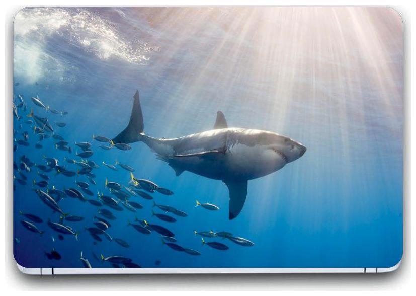 

Gallery 83 - hacker Laptop Decal laptop skin sticker 15 6 inch (15 x 10) Inch G83 skin 01 3254