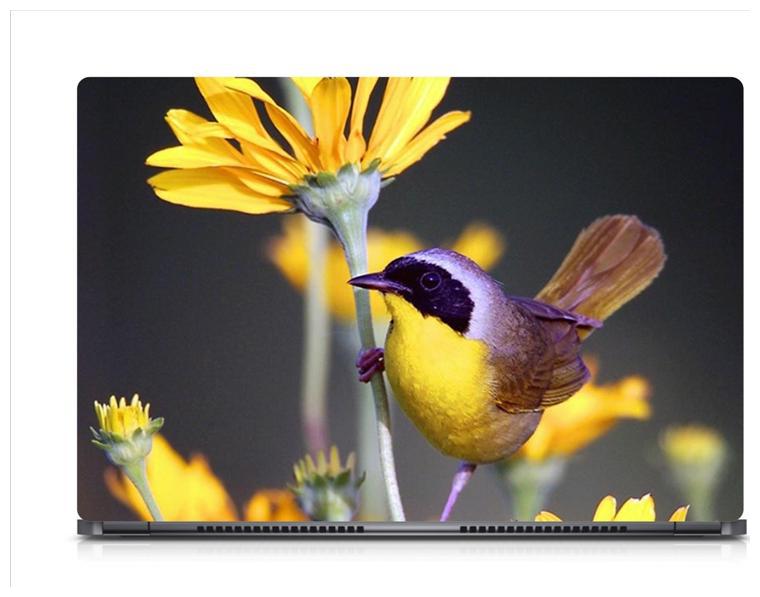 

Gallery 83 - Multi Locks Photography Laptop Decal laptop skin sticker 15 6 inch (15 x 10) Inch ks skin 0633new