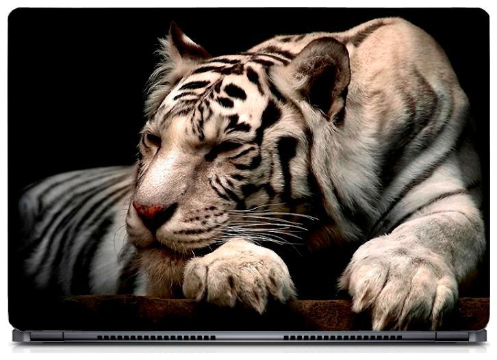 

Gallery 83 - Sleeping White Tiger Laptop Decal laptop skin sticker 15 6 inch (15 x 10) Inch g83 skin 0199new