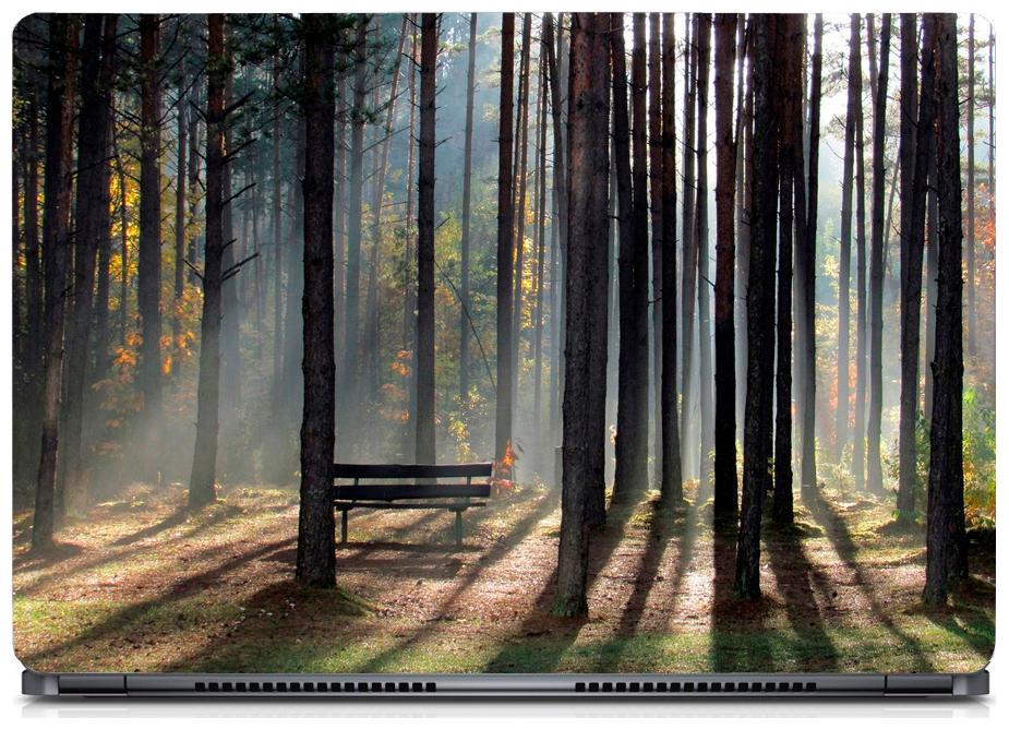 

Gallery 83 - Sun Rays in Forest Laptop Decal laptop skin sticker 15 6 inch (15 x 10) Inch ks skin 0207new
