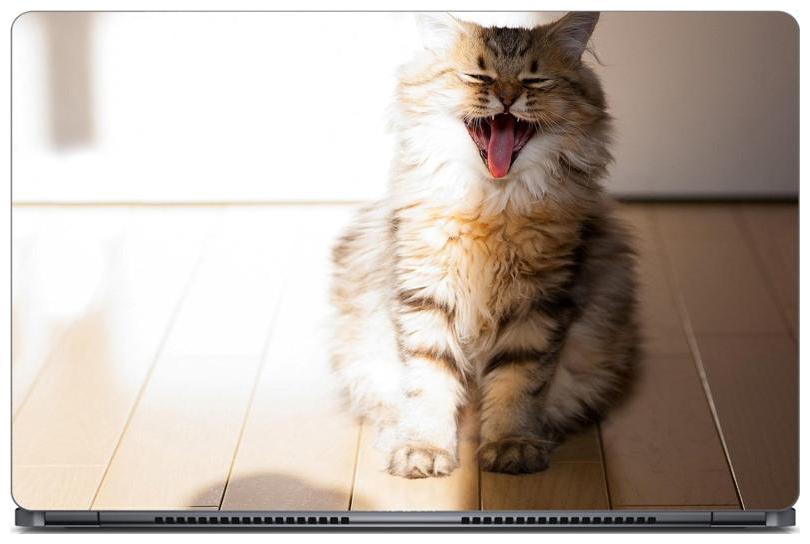 

Gallery 83 - Very Happy Cat Photography Laptop Decal laptop skin sticker 15 6 inch (15 x 10) Inch ks skin 0638new