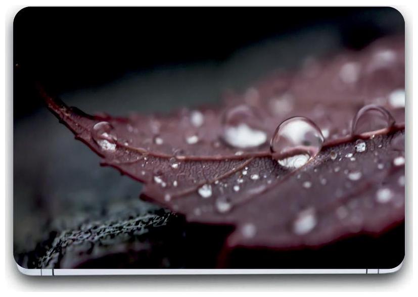 

Gallery 83 - water drops leaf Laptop Decal laptop skin sticker 15 6 inch (15 x 10) Inch G83 skin 01 3526
