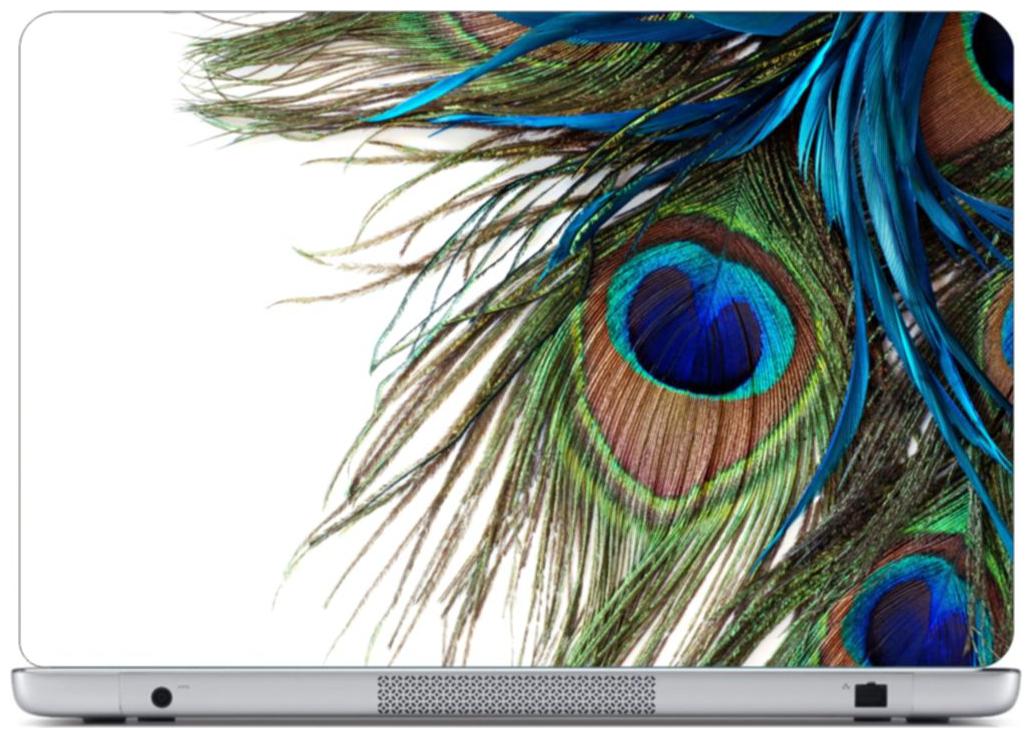 

Laptop Sticker (Phank Surface Covering Area 38 1cm x 25 4cm (15 x 10 inch))