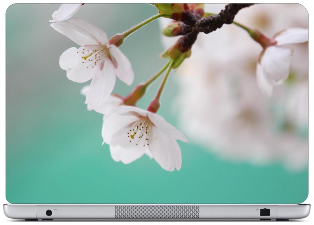 

Laptop Sticker (Flower Surface Covering Area 38 1cm x 25 4cm (15 x 10 inch))
