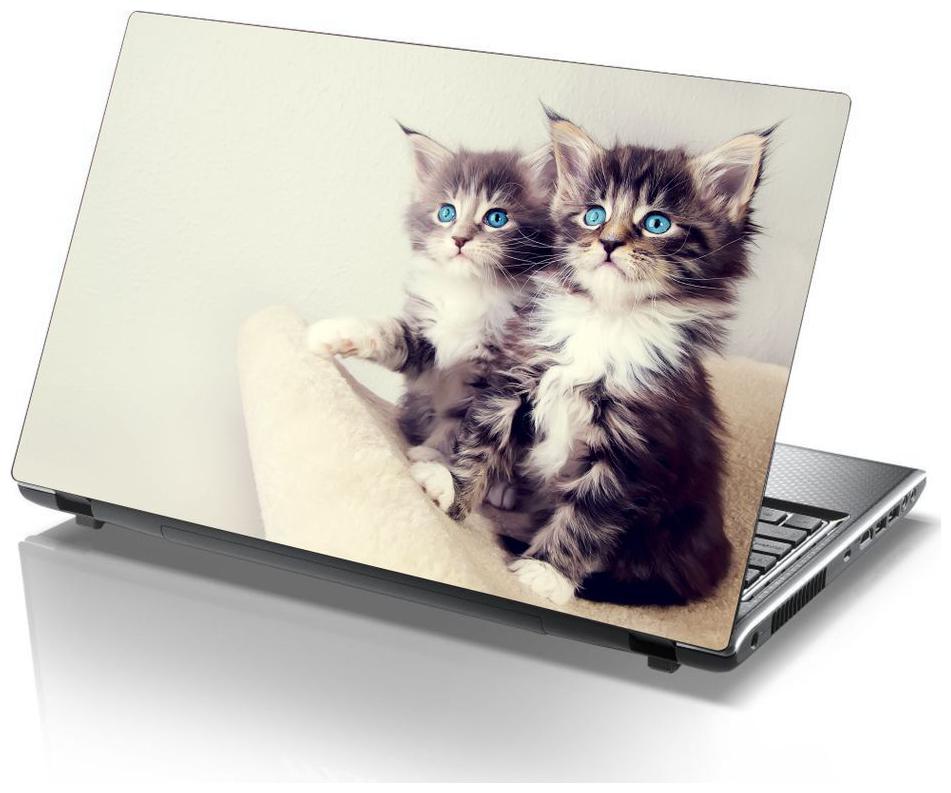 

Laptop Sticker (wide Surface Covering Area 38 1cm x 25 4cm (15 x 10 inch))