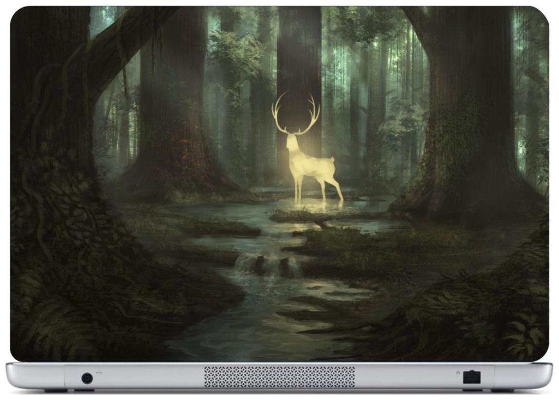 

Laptop Sticker (Gold Surface Covering Area 38 1cm x 25 4cm (15 x 10 inch))