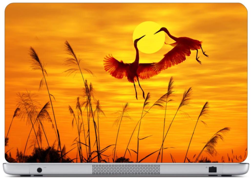 

Laptop Sticker (Sun sat Surface Covering Area 38 1cm x 25 4cm (15 x 10 inch))
