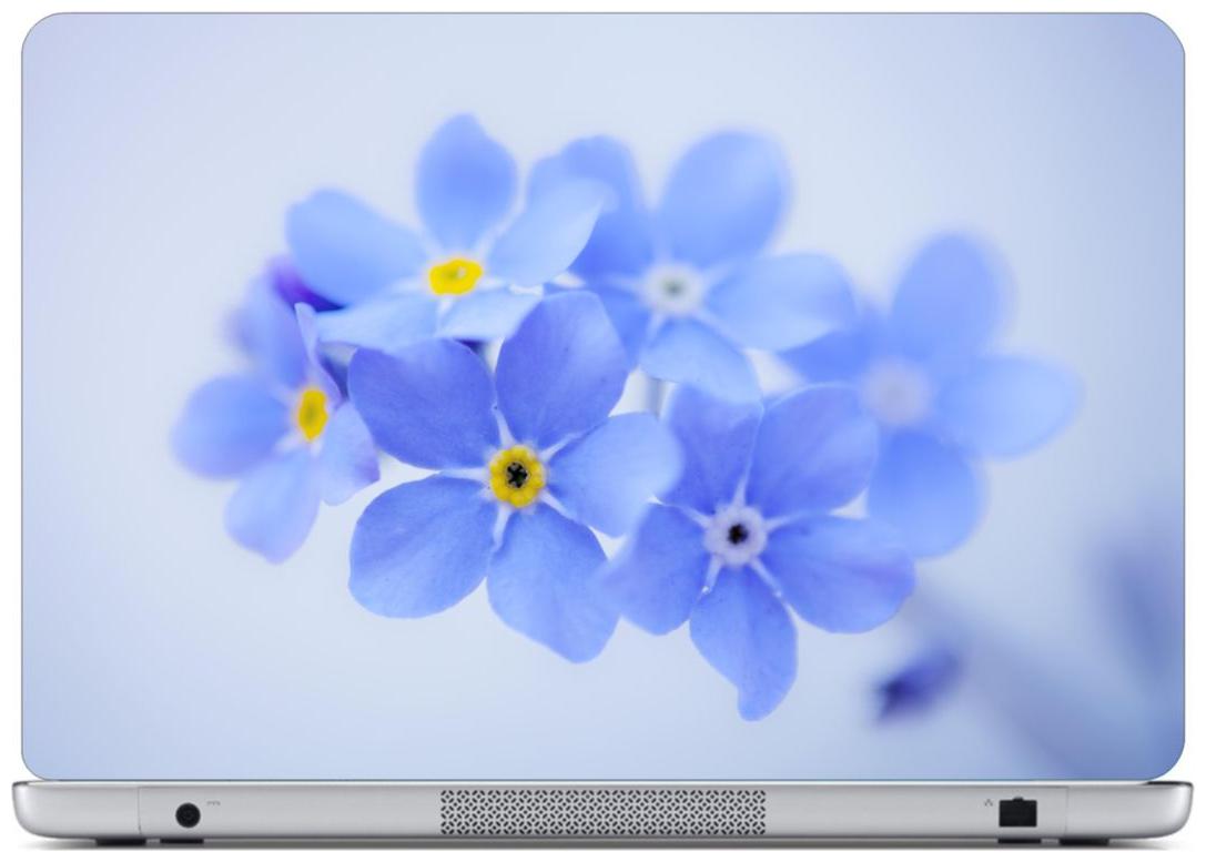 

Laptop Sticker (Blue flower Surface Covering Area 38 1cm x 25 4cm (15 x 10 inch))