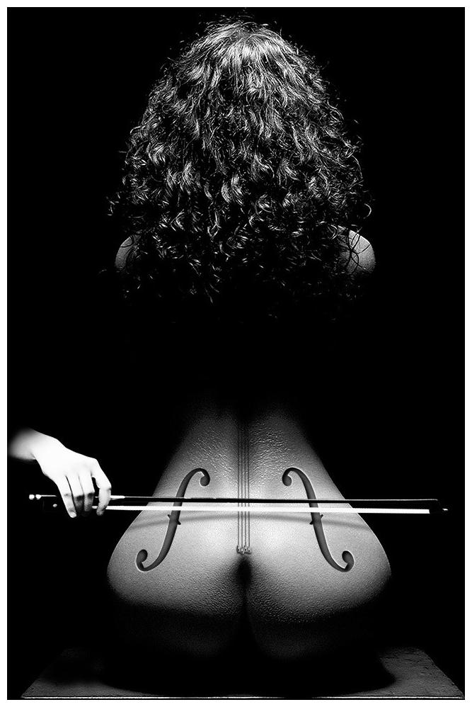 

Mithya Laptop Skin Sticker For Laptop Upto 15 6 inch of Dell Lenovo Acer HP Vaio Asus Toshiba HQ169