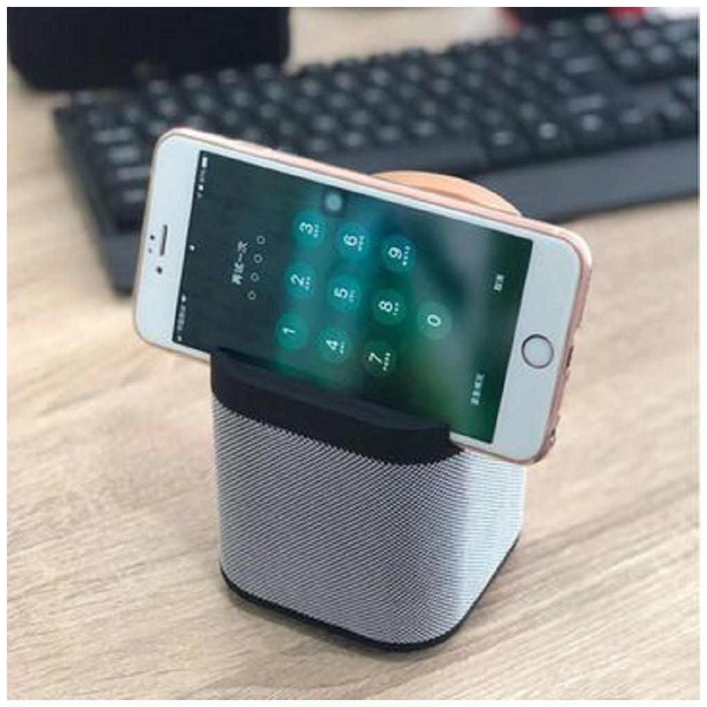 

MyFizi MF MOB SPEKR2 Bluetooth Portable Speaker ( Silver )