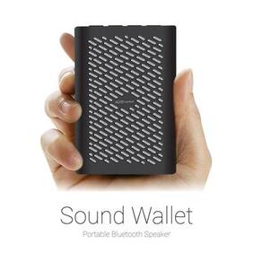 Portronics Sound Wallet Bluetooth Speaker (Black)