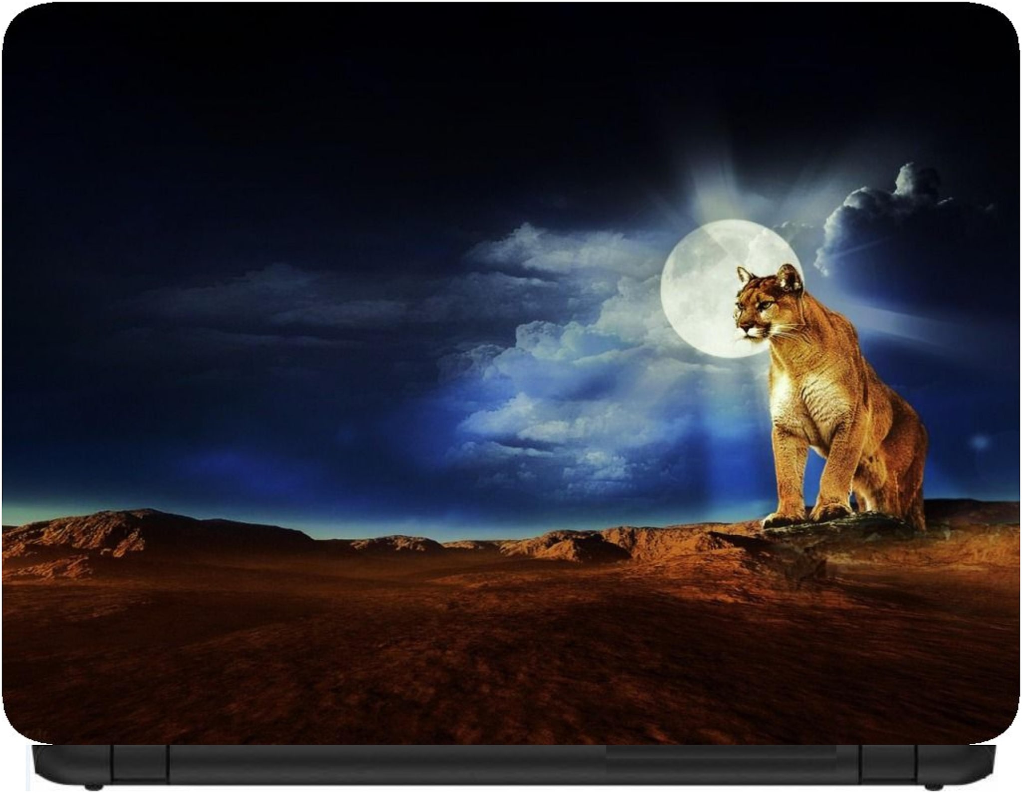 

Procence Random 1303387 Laptop Decal