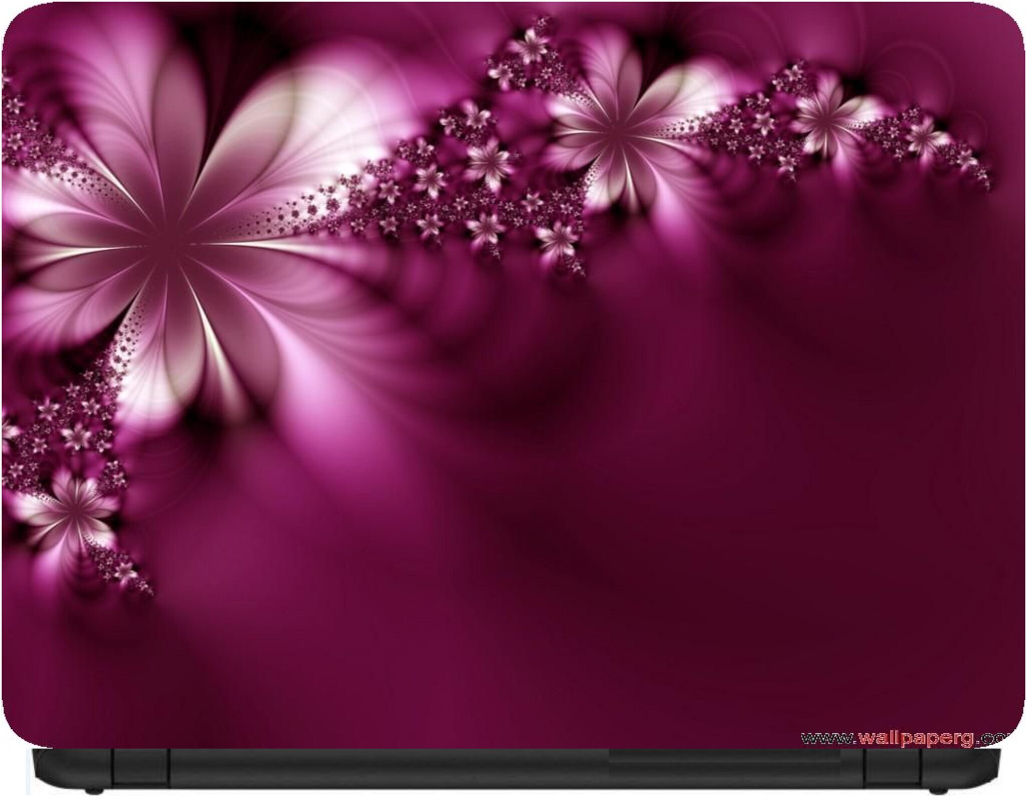 

Procence Random 1304660 Laptop Decal