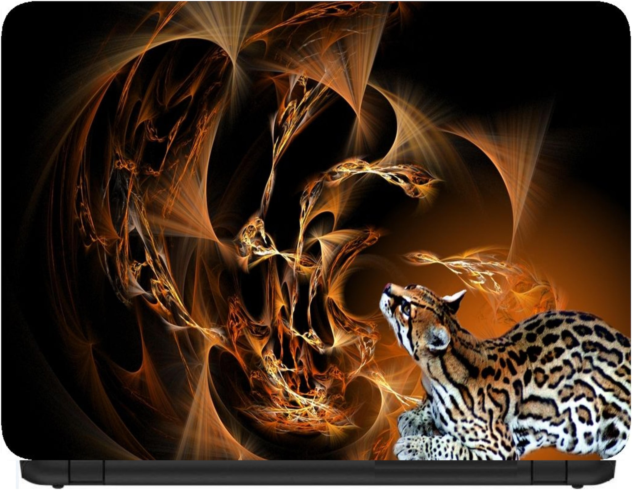 

Procence Random 1209204 Laptop Decal