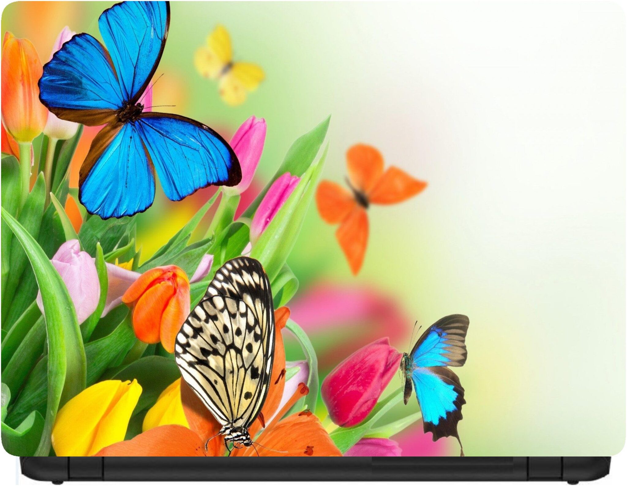 

Procence Random 1094822 Laptop Decal