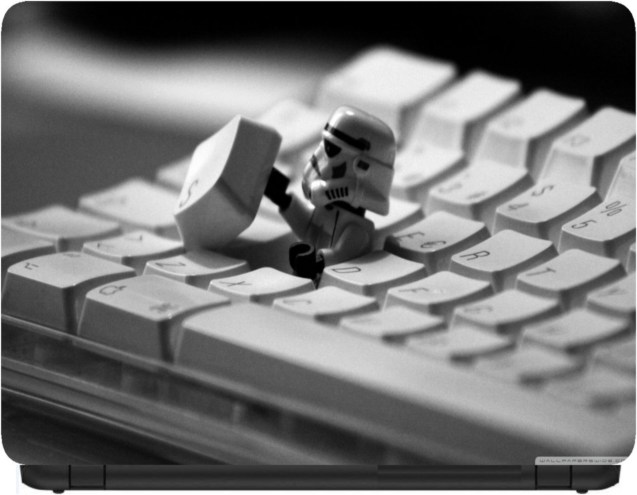 

Procence Random 1107208 Laptop Decal