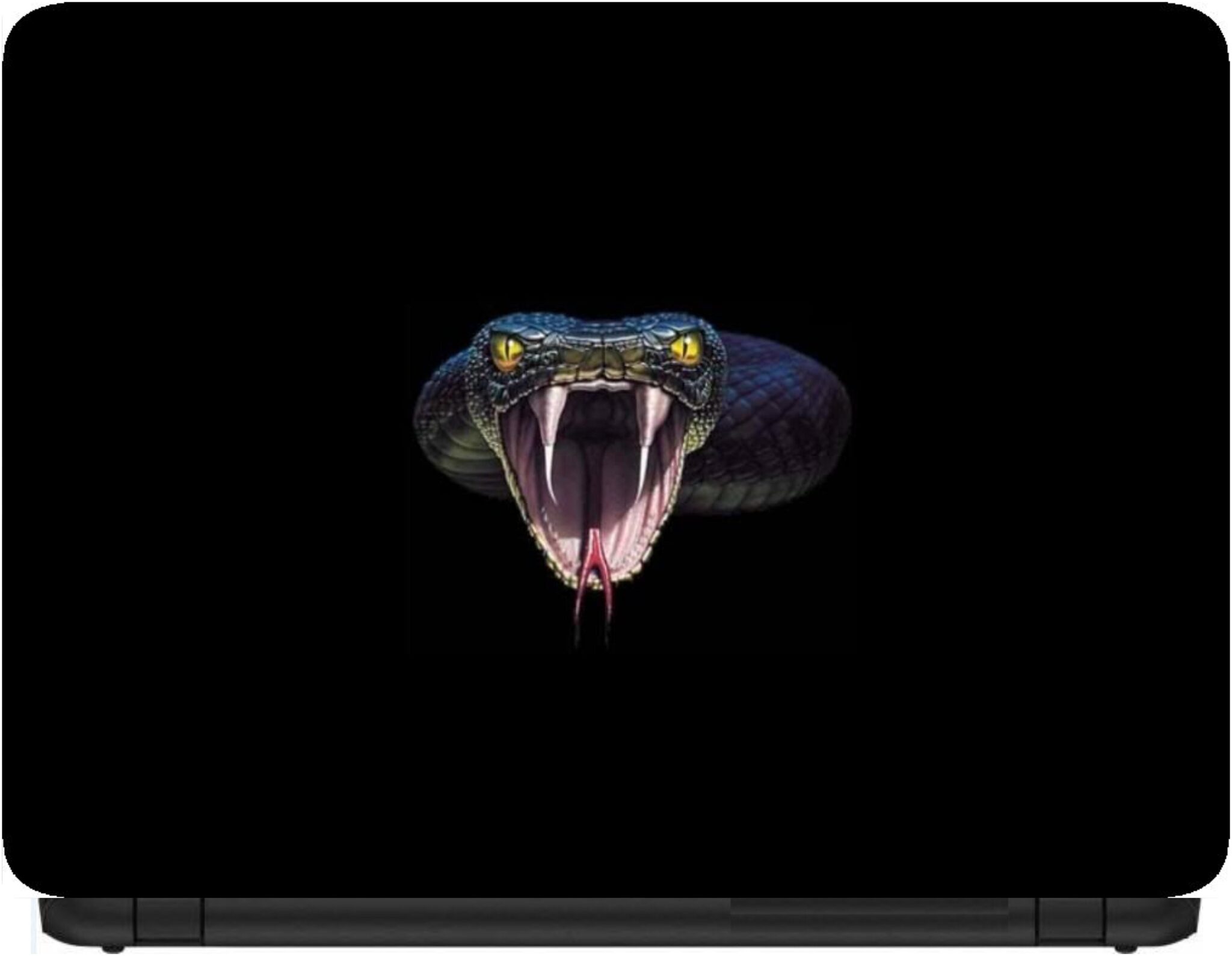 

Procence Random 1181116 Laptop Decal