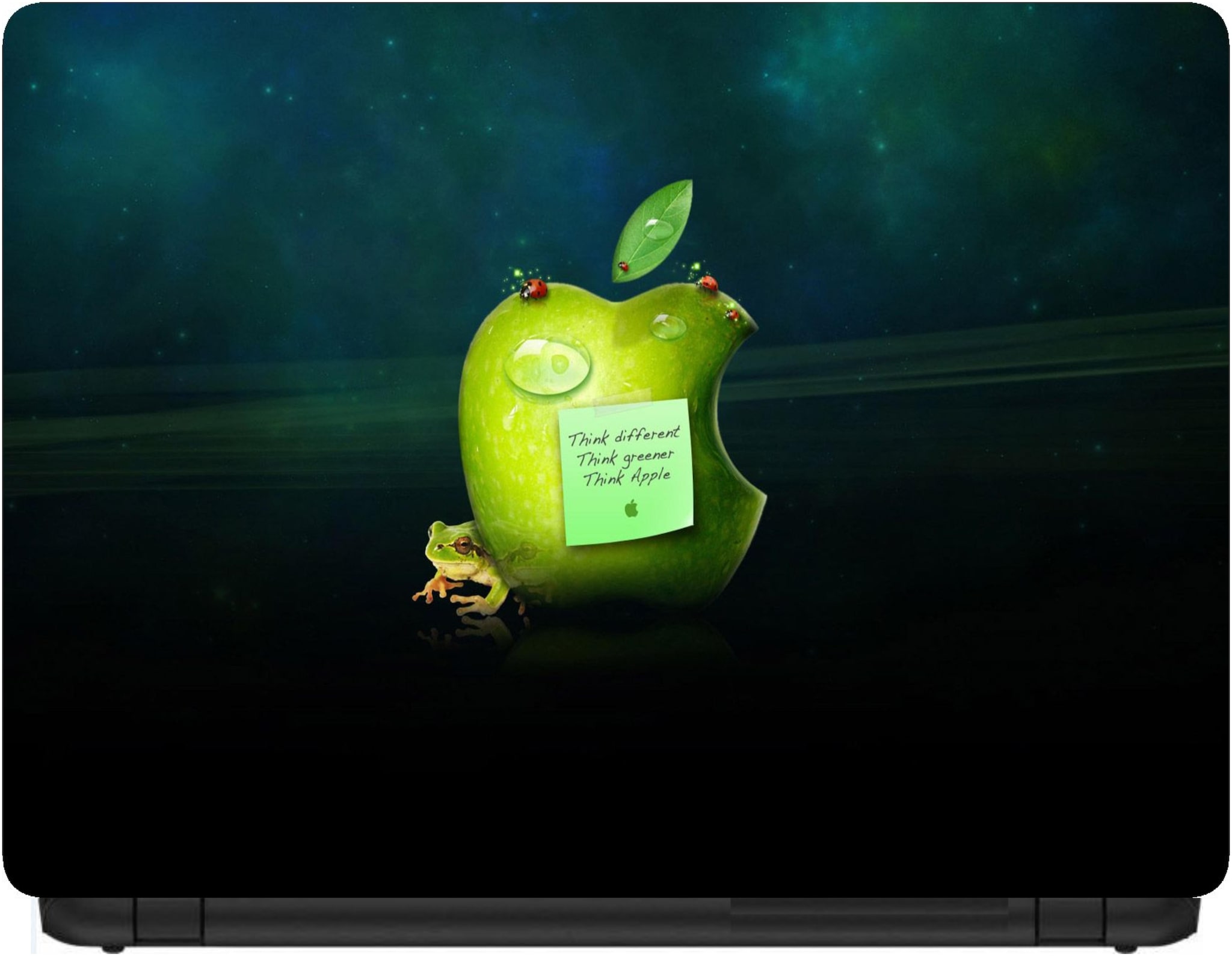 

Procence Random 1292573 Laptop Decal