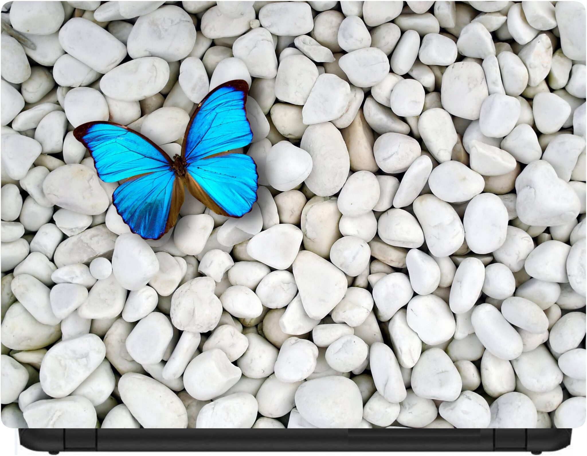 

Procence Random 1094832 Laptop Decal