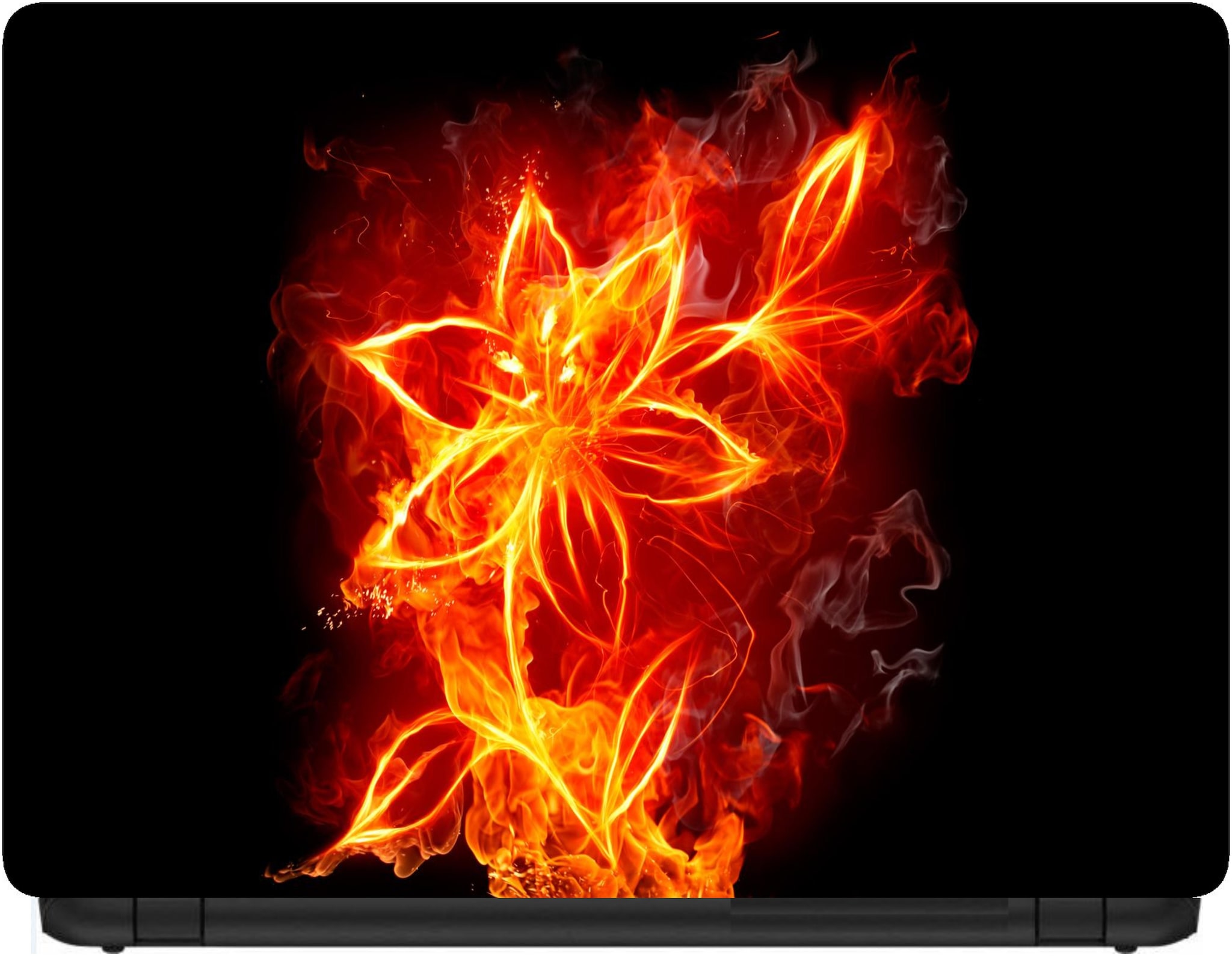 

Procence Random 1299910 Laptop Decal
