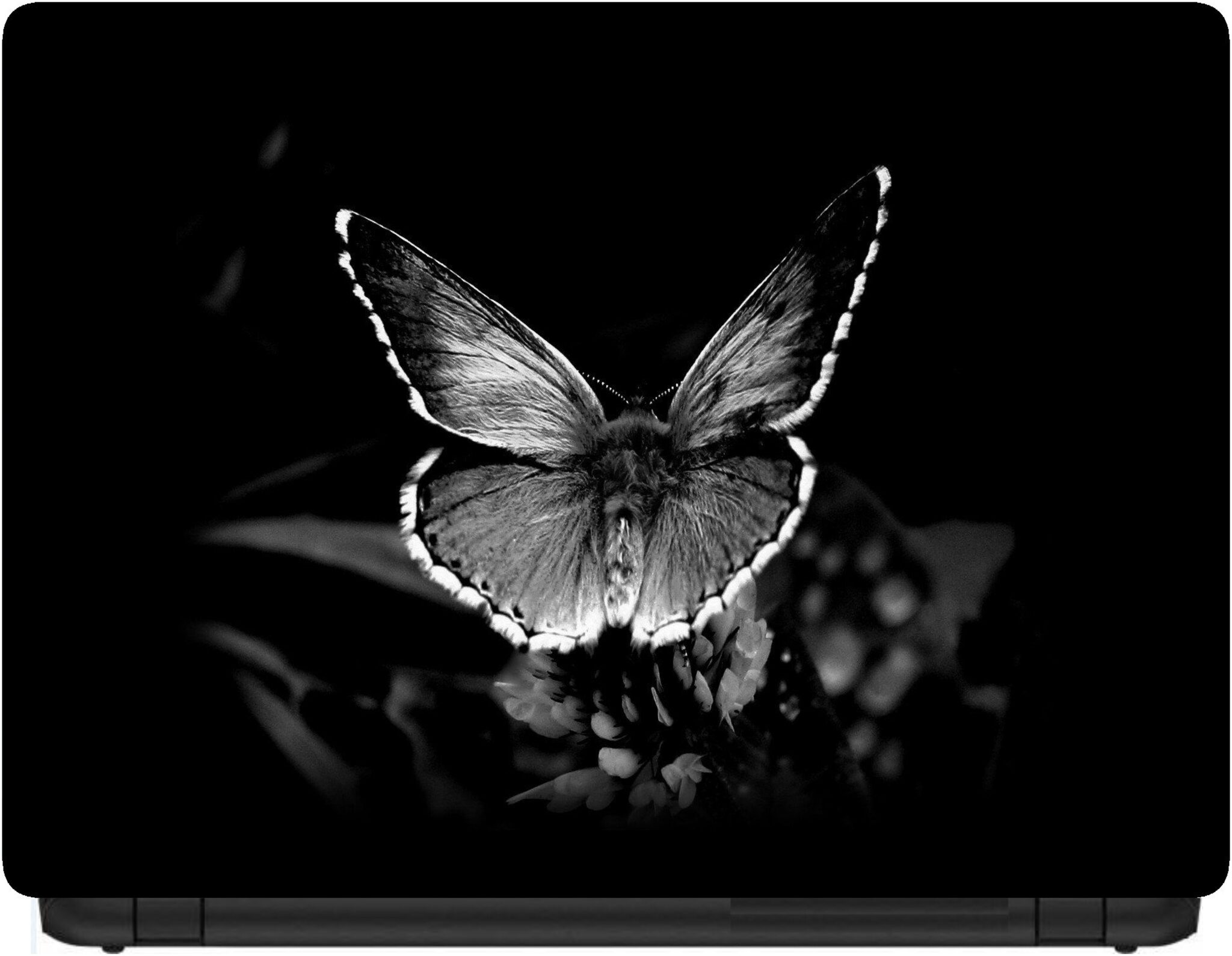 

Procence Random 1298011 Laptop Decal