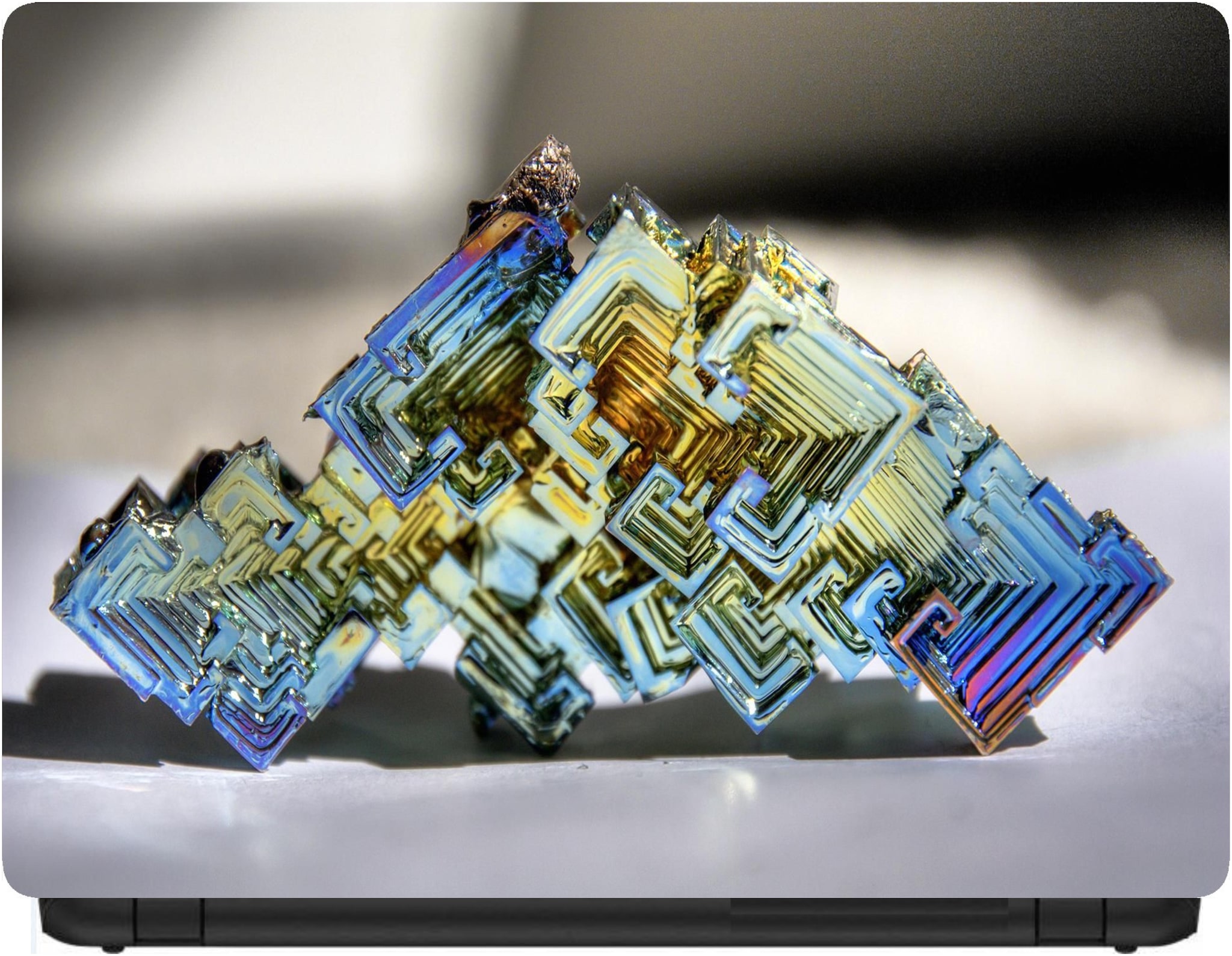 

Procence Random 1155729 Laptop Decal