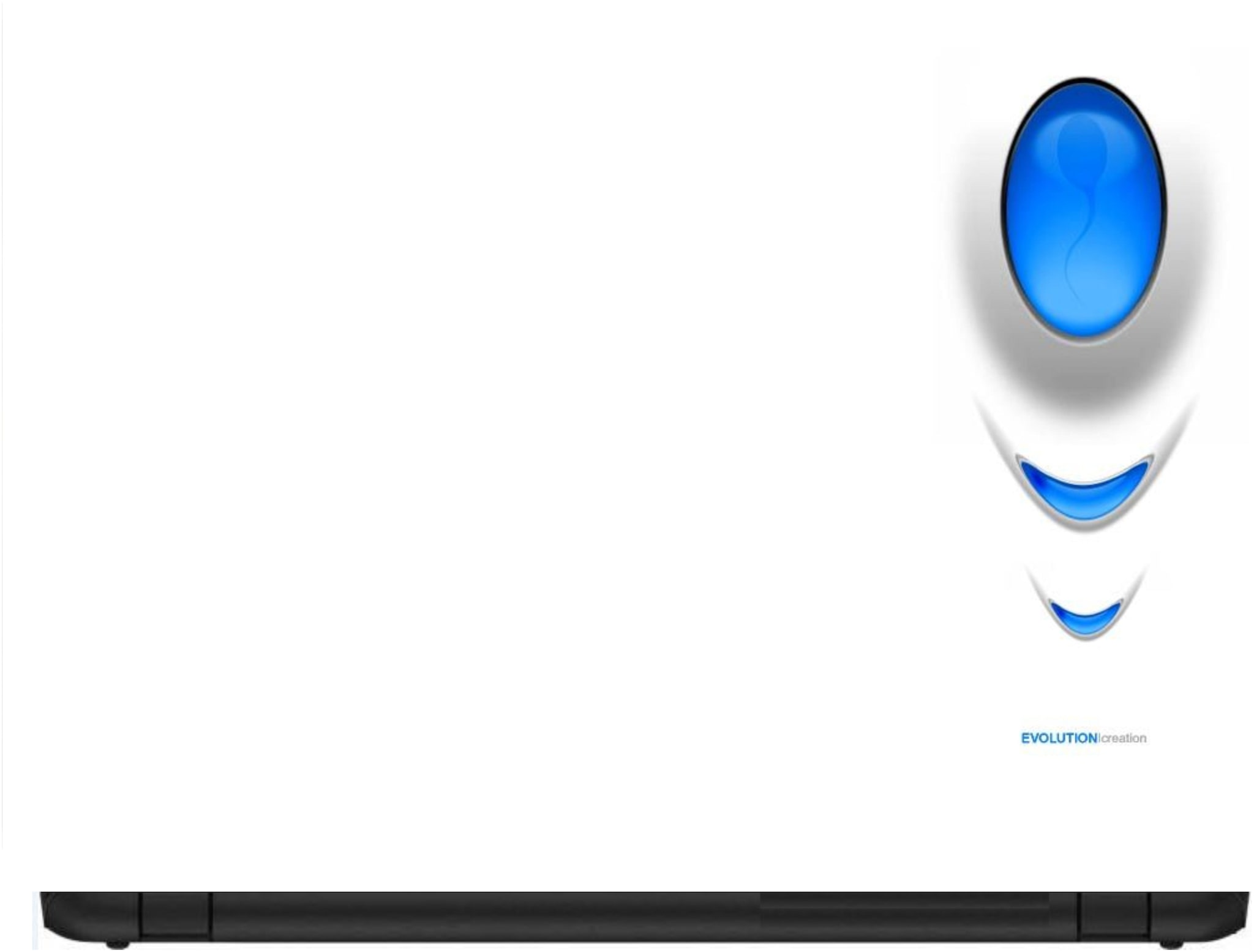 

Procence Random 1306571 Laptop Decal