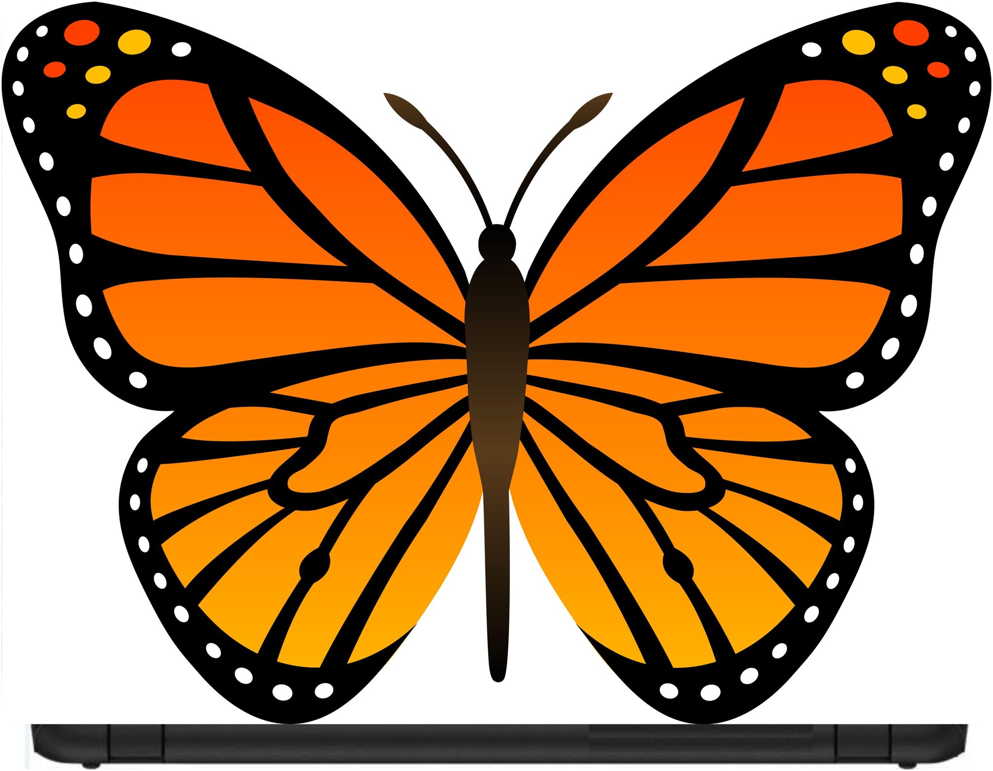 

Procence Random 1095259 Laptop Decal
