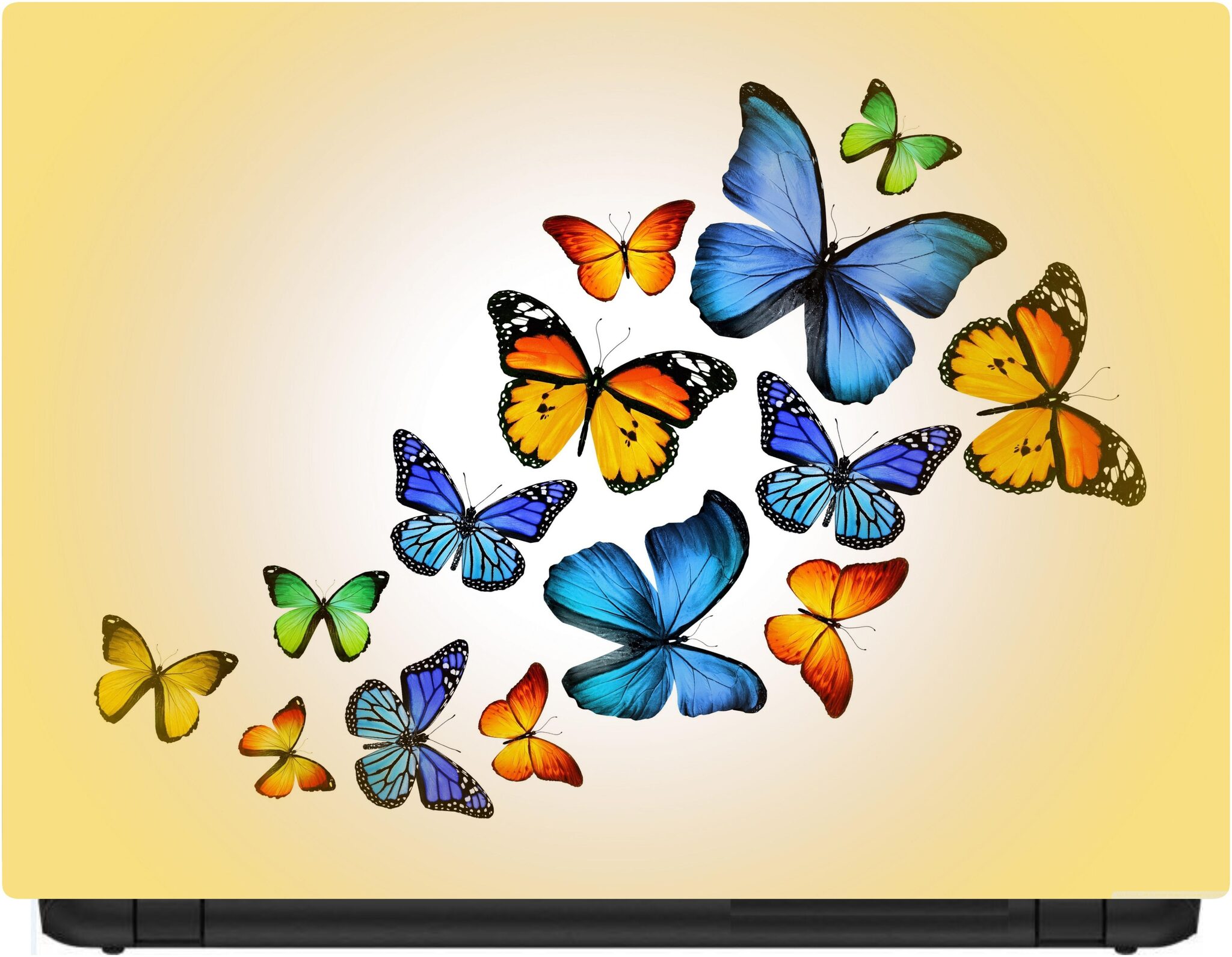 

Procence Random 1094703 Laptop Decal