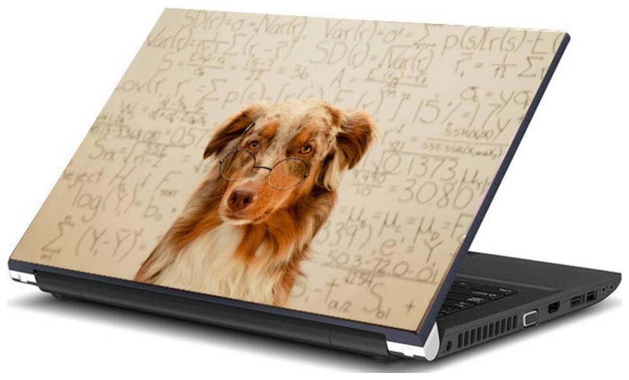 

Psycho Art 39 62 cm (15 6) Laptop Skin (Multi Color)