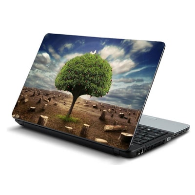 skin laptop