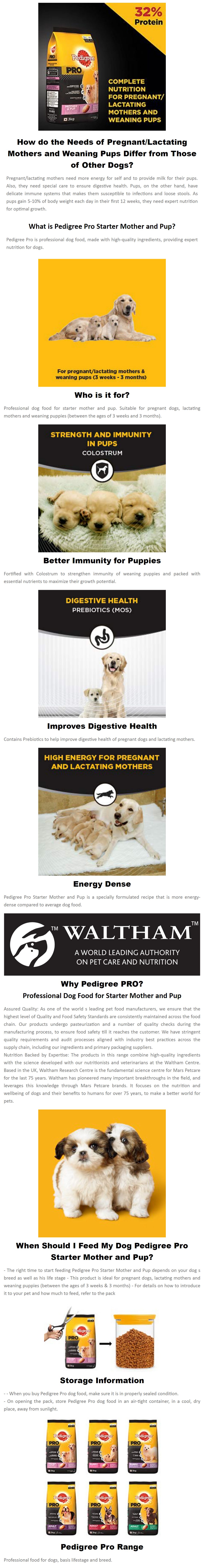 pedigree for pregnant dogs
