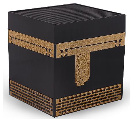 

Shemaroo IBAADAT Wired Portable Speaker ( Black Gold )