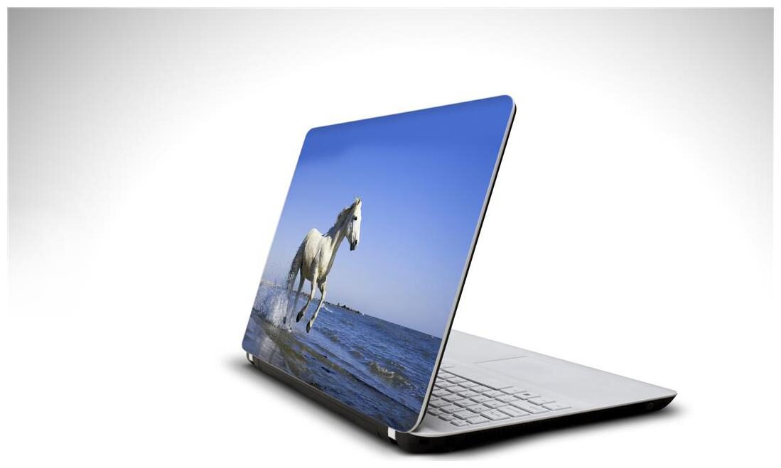 

Snooky Dance laptop 15 6 vinyl skin decal