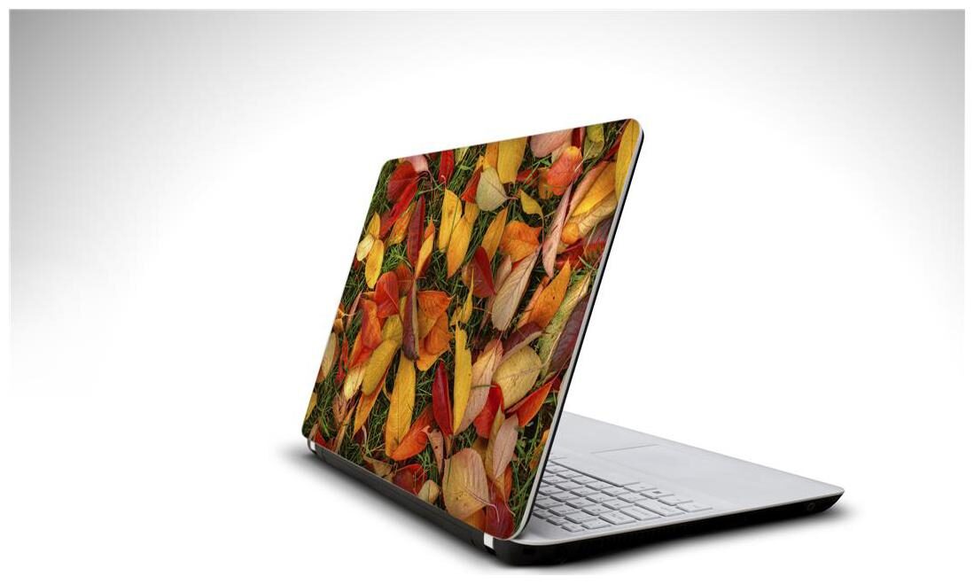 

Snooky Dragon laptop 15 6 vinyl skin decal